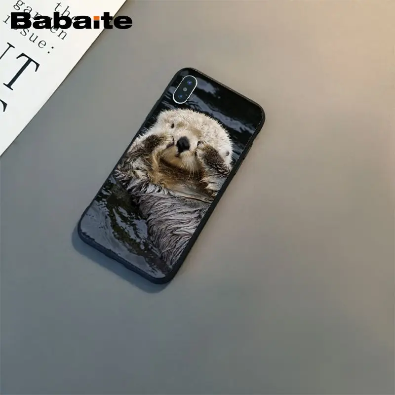 lovely cute Otter water animal