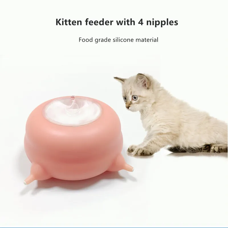 Nursing Cat Nipples visitchile.cl