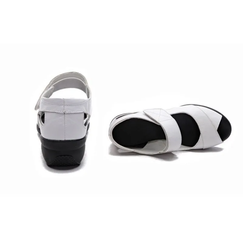 conew_10818312758_1714332820