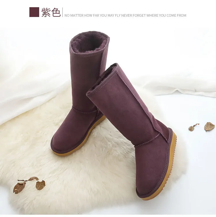 16861098487_1214573647