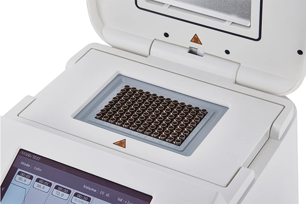 TB2dV1PBKuSBuNjSsplXXbe8pXa_!!3855046918