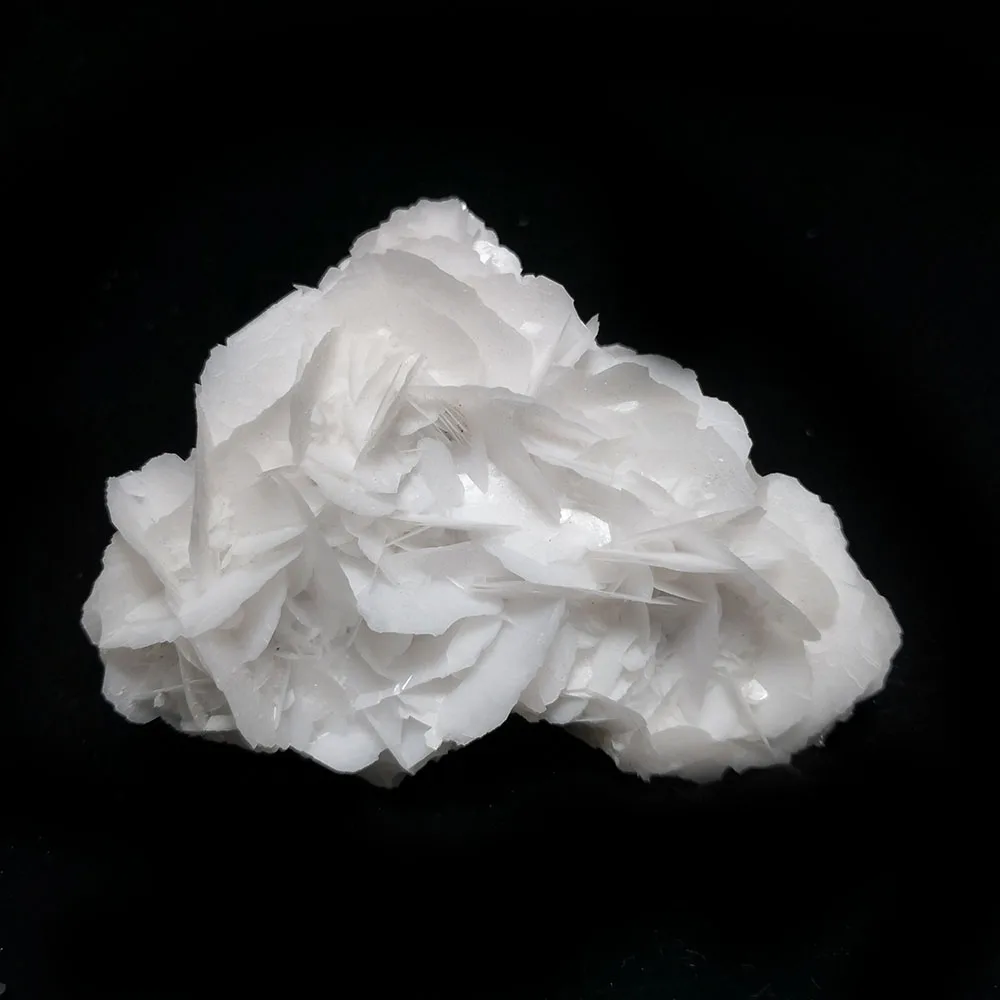 White Rose Calcite White Rose Calcite