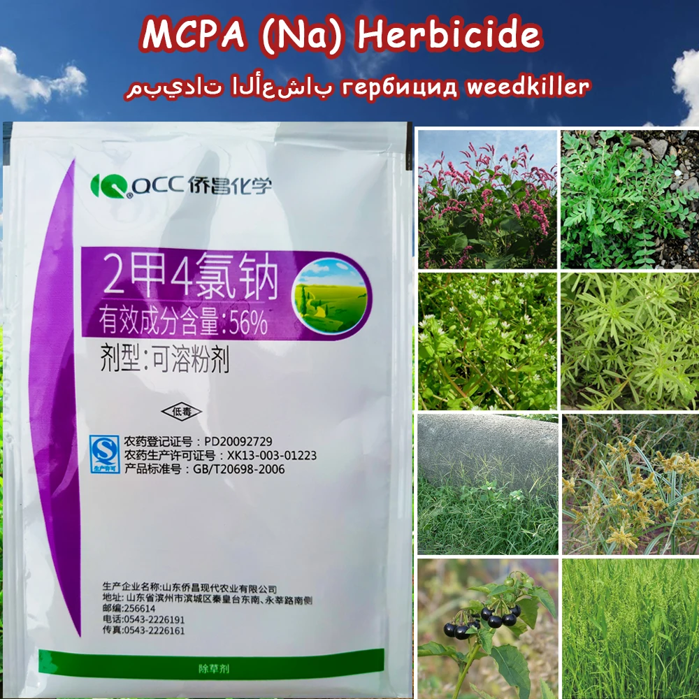 10g Dimethyltetrachloro MCPA (Na) Herbicide Phenoxyacetic acid Selectivity Hormone type Remove Weed Kill Grass Spray Weedkiller | Дом и сад