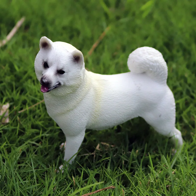 PL127-1264小白柴犬