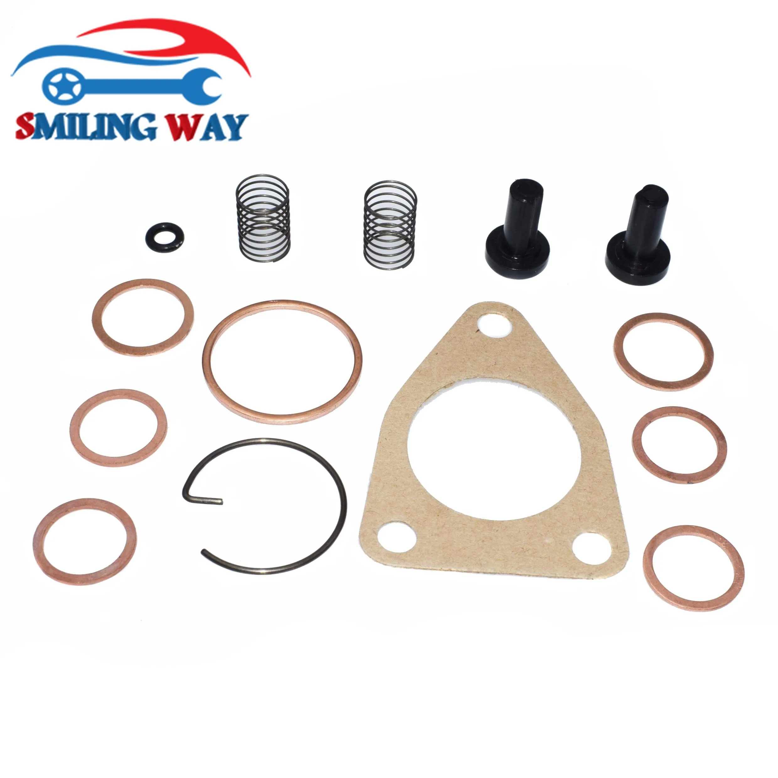 

Diesel Supply Fuel Pump Repair Kit ADS-DGK-301 DGK-301 For FP / K 22, FP/K22, FP / KD 22, FP/KD22, FP / KE 22 pumps 2447010004
