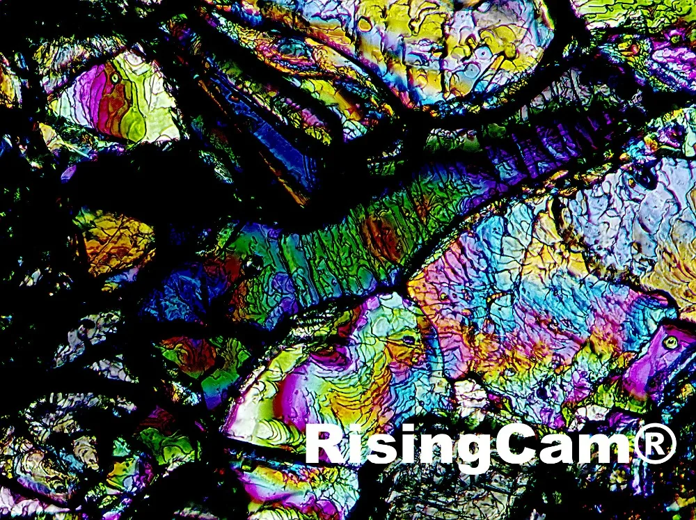 Zincacetate 2 41 tifs FHD - 副本