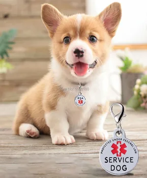 

12 pcs/lot Blank Anti-Lost Personalized Engraved Tag Pets Identity Card Pet Collar Pendant Promotion Gift ID Pet Tags