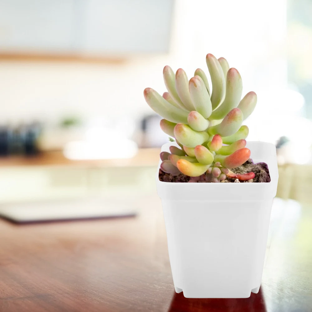 20Pcs/Set Plastic Flowerpot Garden Decor Small Basin Fleshiness Botany Net Grow Seedlings Home Office Box | Дом и сад