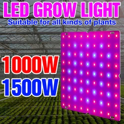 Phytolampe pour culture hydroponique de plantes, 220V, spectre complet, panneau LED, ampoule de graines de fleurs d'intérieur, tente de serre 