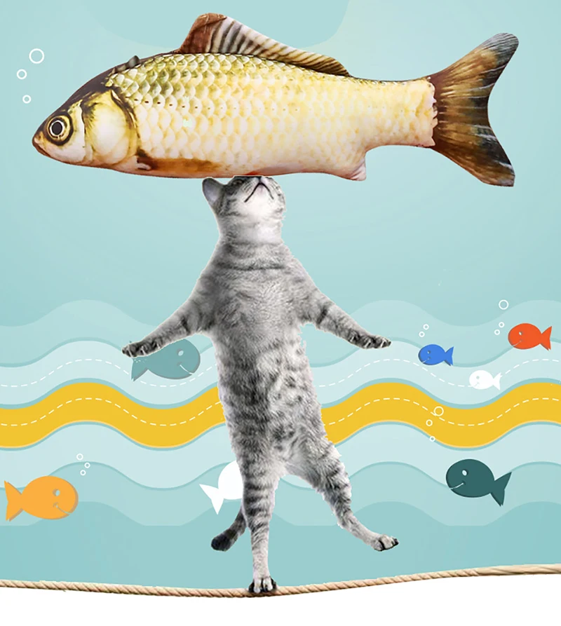 Ha0b85a5dd2aa483b863505993027a704W