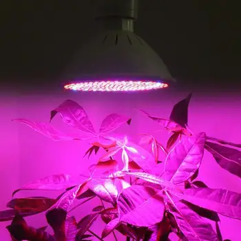 

E27 LED Plant Grow Light Full Spectrum for Indoor Hydroponic Plant Vegetable Cultivation Horticulture Industrial Seedling