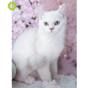 

SNA New 5d FULL Mosaic Pattern 5D DIY Diamond art Embroidery home decoration Animal diamond painting cross stitch New Year gift