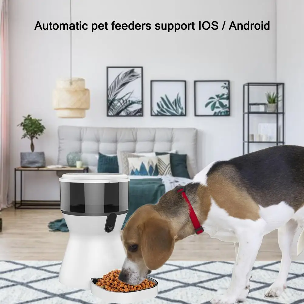 4L WiFi Автоматическая ПЭТ бутылочка для подачи воды в Поильник для собак дозатор для еды рекордер программируемый таймер дистанционное управление Кормление для кошки собаки 20E