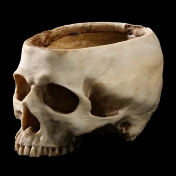 

Office Desk Flower Pot Ornament Photo Props Container Home Decorartion Party Succulent Resin Planter Skull Shaped Scary Portable