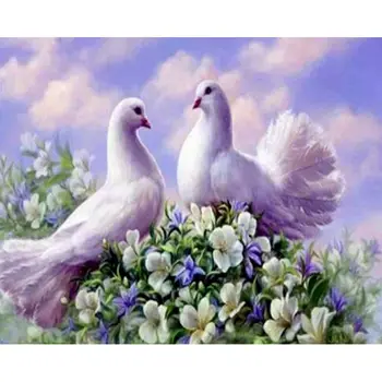 

Gatyztory White Dove Diy Painting By Numbers animals Canvas Colouring Handpainted Gift Frame Wall Decor