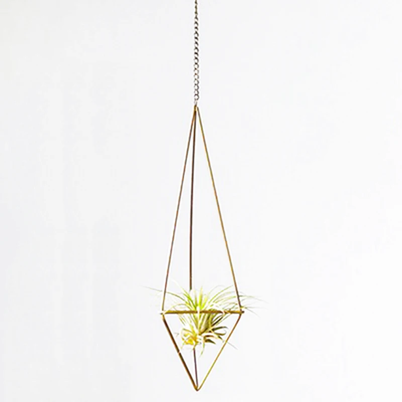 Succulent Tillandsia Air Plants Rack Holder Freestanding Hanging Pyramid Pot Tillandsia high quality