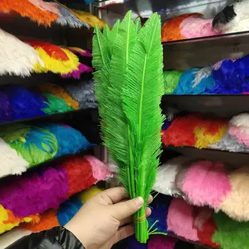 

New Wholesale 100pcs Fruit Green Ostrich Feathers 55-60cm/22-24inches For Wedding Christmas Home Craft Decoration