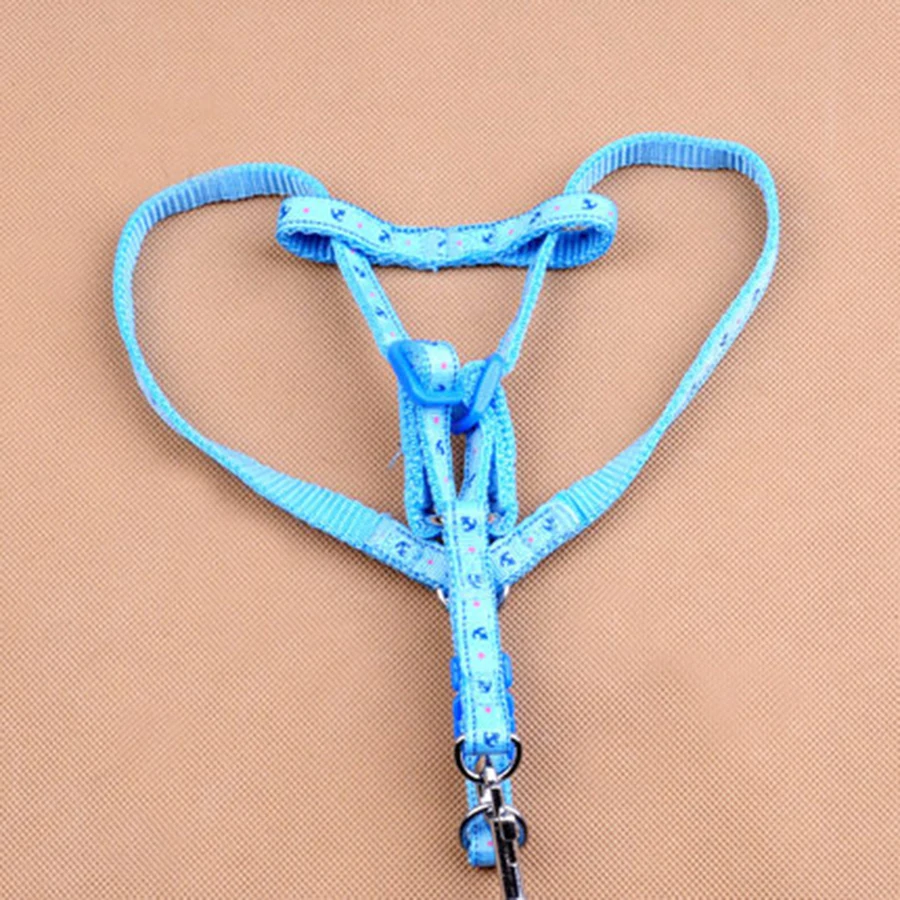 Personalized Training Dog Chest Strap Leash Harness Chihuahua Dogs Vest Cute Szelki Dla Psa Pug Accessories Pet Products EE5QY