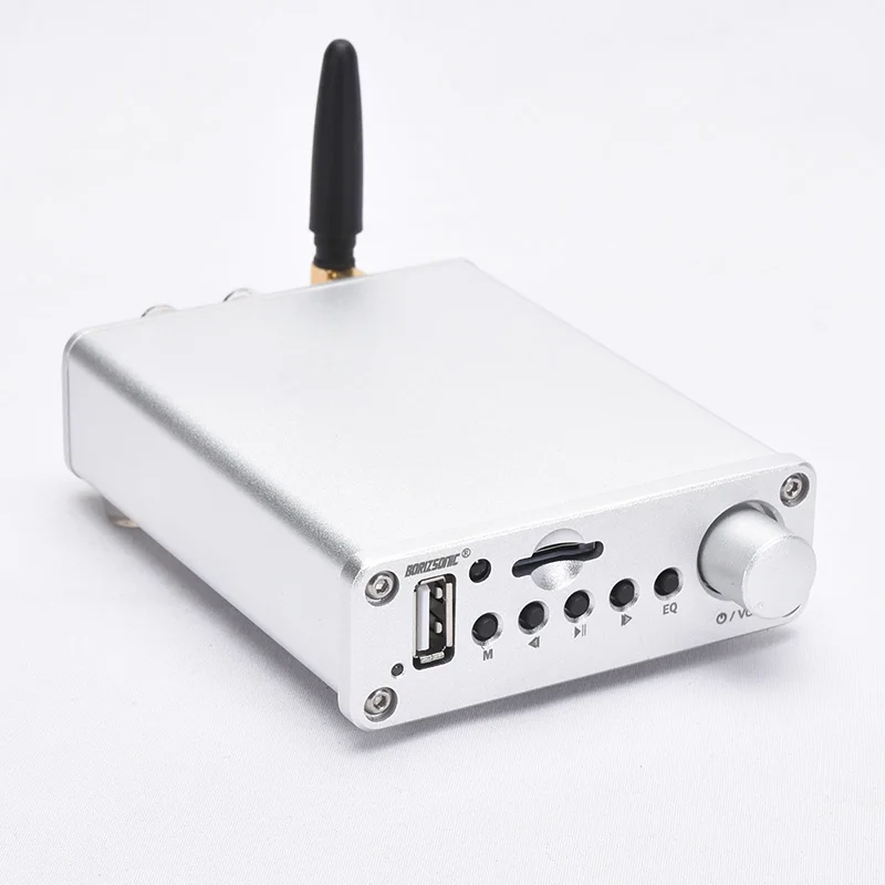 

BORIZSONIC Mini HiFi Music Player TPA3116 Digital Bluetooth5.0 Power Amplifier U-disk/TF/AUX/FM