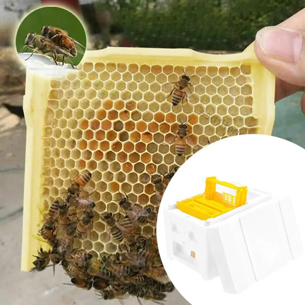 1 Set Queen Bee Rearing Mating Beehive Beekeeping Tools Foam Beehives Nuc Harvest Pollination BeesHive Box Beekeeper Suppliers Beekeeping Tools Beekeeping Accessories
