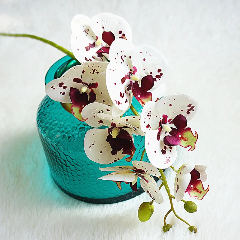 10143153882_874253957