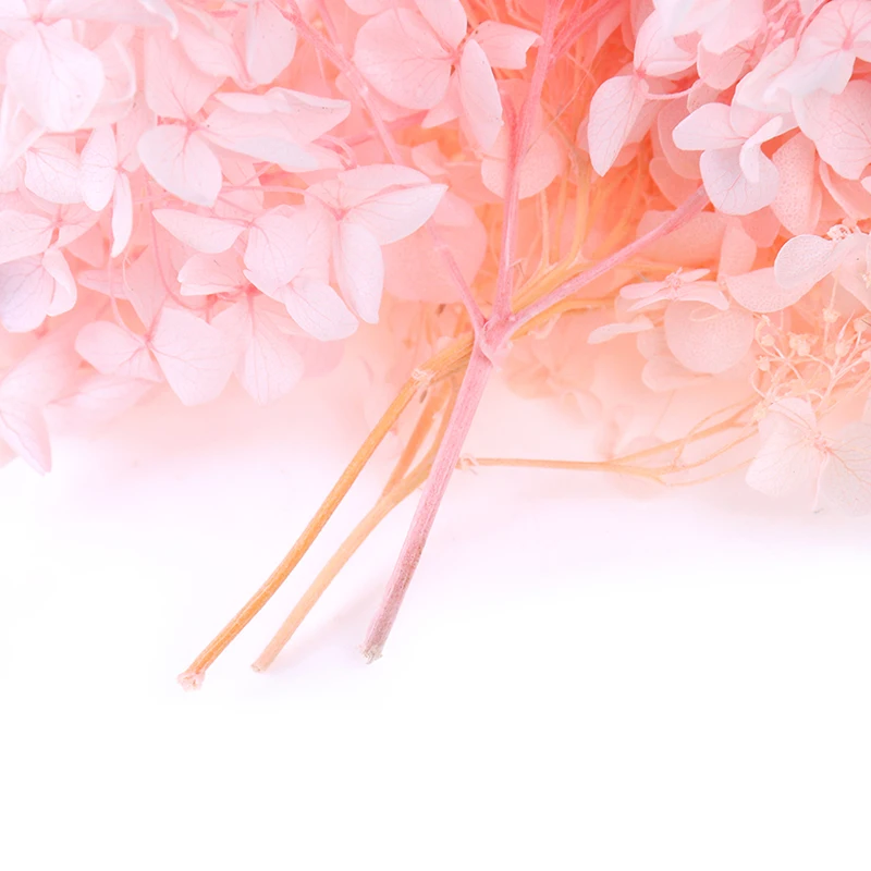 10 г/лот натуральные свежие консервированные цветы сушеная Гортензия Цветок голова для DIY настоящая вечная жизнь цветы материал высокое качество