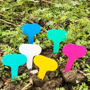 

100pcs Garden T-shape Plant Labels Flower Plant Sign Tags For Succulent Cactus Aloe ,etc.diy Markers Seed Ornament Tools