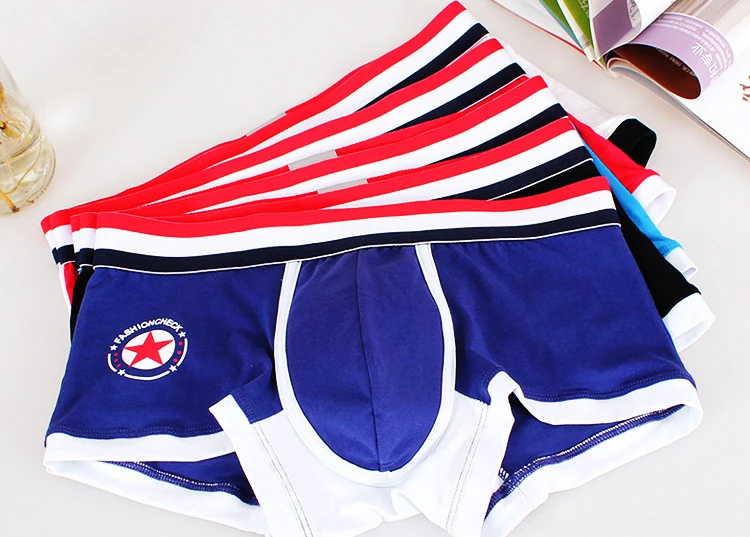 ANDERSON TALISCA Brand New Cotton Mens Boxers Underwear Men Boxer Breathable Ropa Interio Man Cueca Masculina Size M-3XL 1108