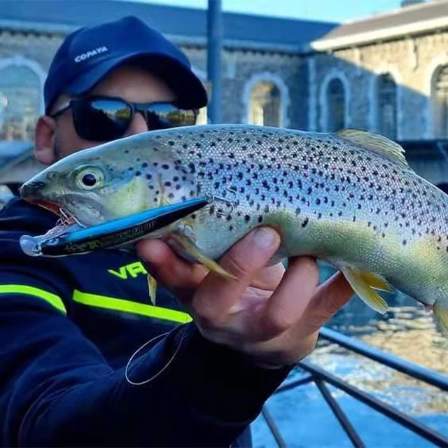 LEYDUN 아티스트 FR 사일런스 싱킹 미노우 낚시 미끼는 빠른 검색과 고품질 하드 미끼의 조합으로 농어를 잡을 수 있는 최고의 선택입니다.