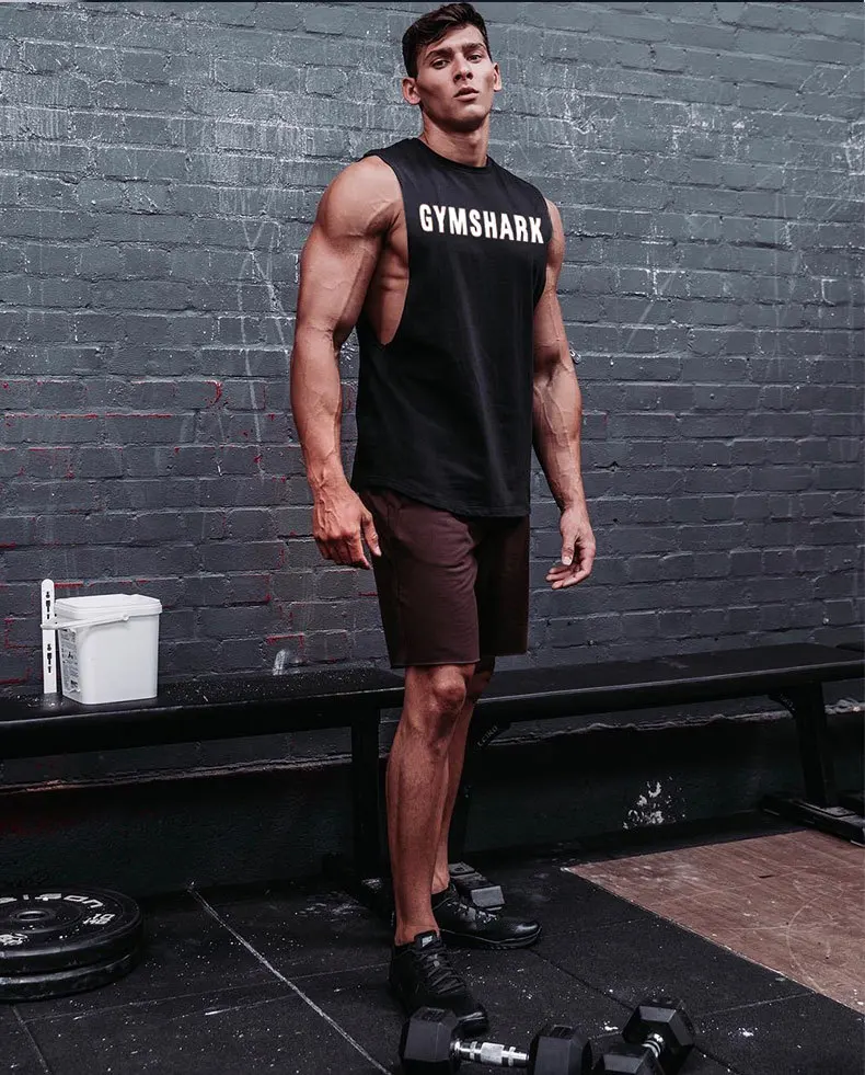 Muscle Dr. Европа и Америка братья Повседневный Быстросохнущий сетчатый жилет мужской спортивный жилет для фитнеса спортивный жилет