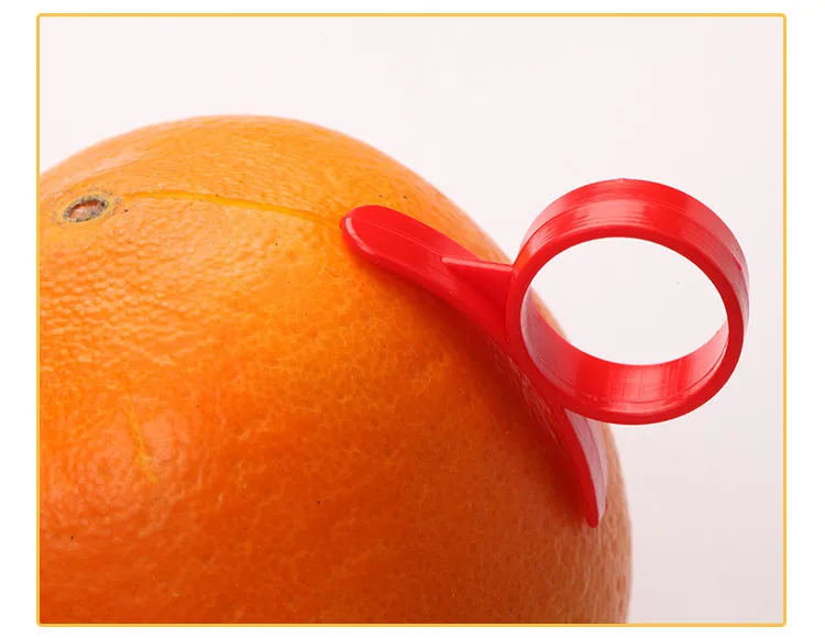 10389725106_75505767