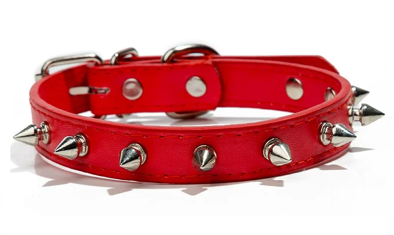 12016718868_523469073