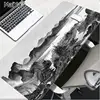 Computer Peripherals