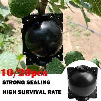 

10/20pcs Plant Rooting Ball Grafting Rooting Growing Box Breeding Case For Garden 5/8cm In Black Plant Root Growing Box