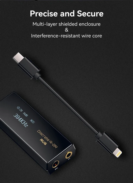 Cayin RU6 レザーケース・Lightningケーブル付
