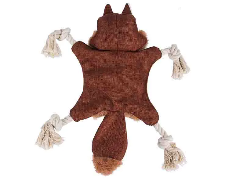 11088566783_906868034