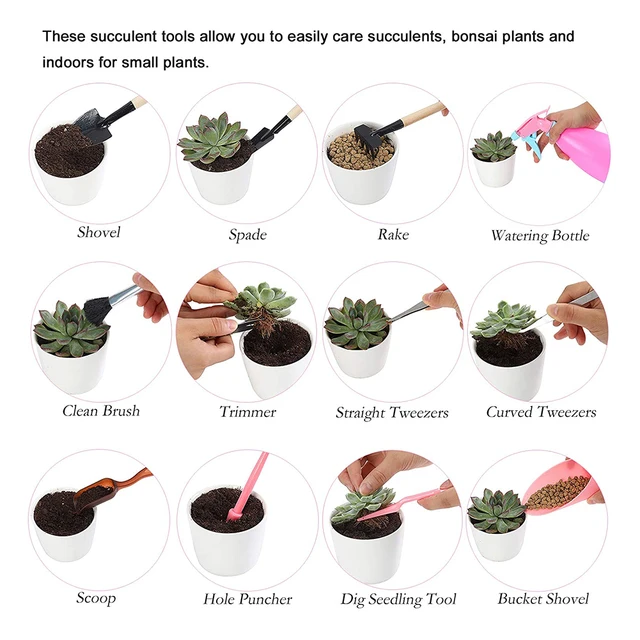 3/7/12/11/16Db Kerti Ültetvénykészlet Zamatos Ültetési Diy Transzplantációs Palánták Szerszám Bonsai Műtrágya Fúróberendezés - Image 5