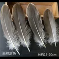 Nature 50pcs