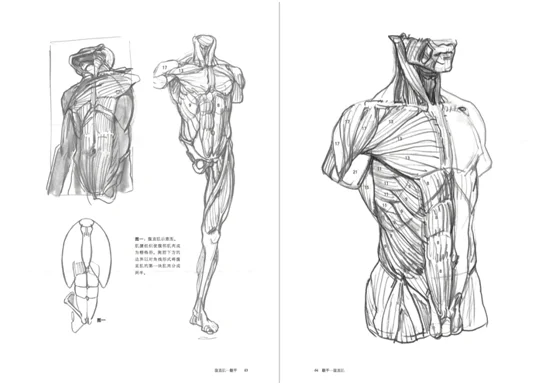 Compreensão de Forma Base de Arte Humana Zero Fina Iniciante Auto-estudo Livro Arte Pintura Esboço 5 Cheap Educação & Ensino
