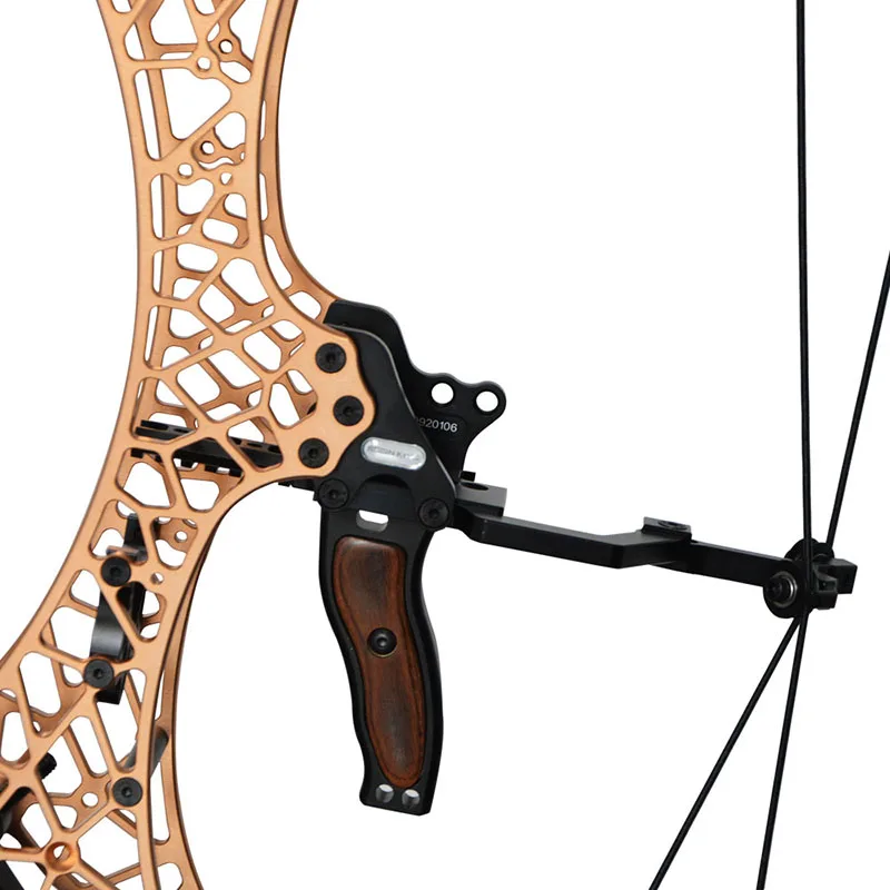 Powerful Archery Compound Bow Draw Weight 40-70lbs Adjustable Suit for Hunting Bow Shooting fish Practice Arrows Accessories