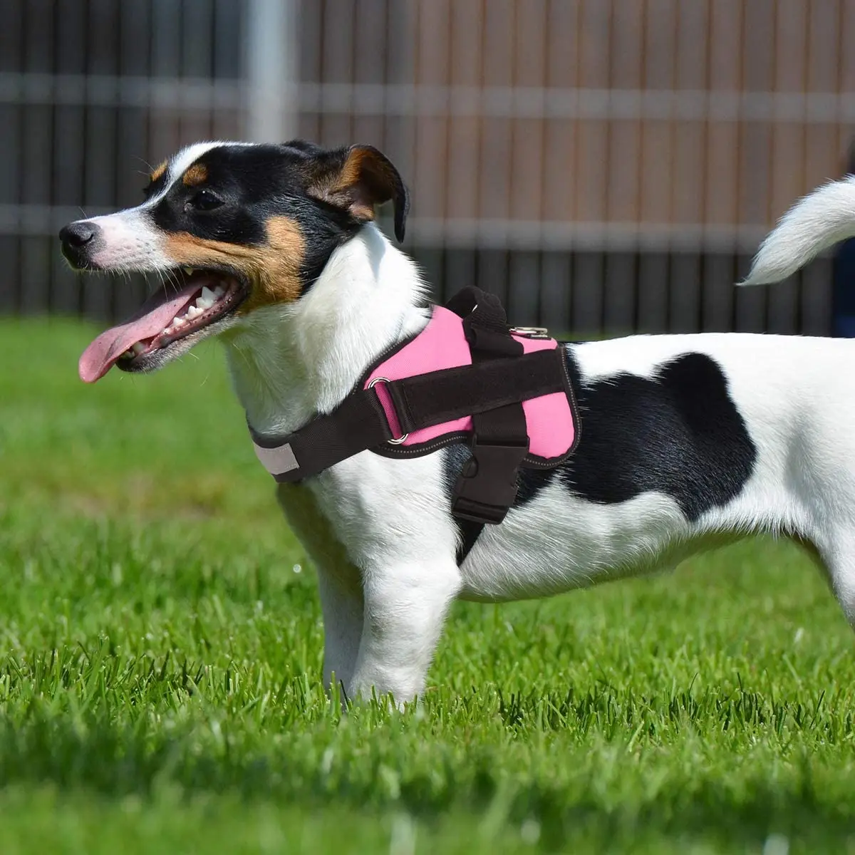 Bolux arnés reflectante perro, chaleco ajustable con asa para al aire libre, personalizado, envío directo|Abrigos y para perro| - AliExpress