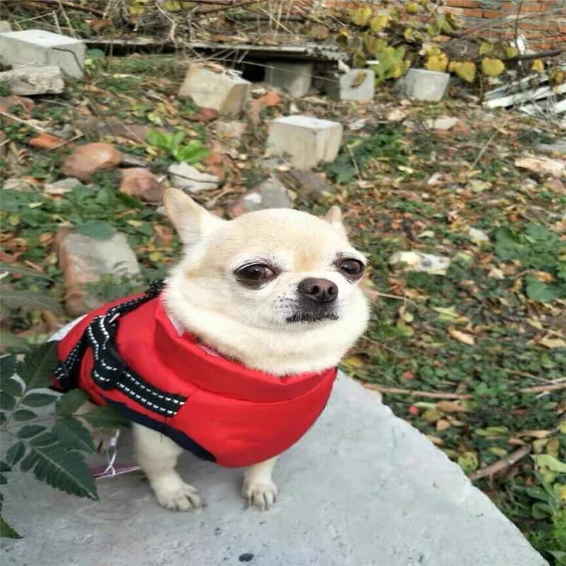 113