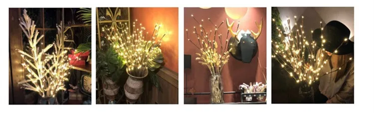 11235737540_46652604