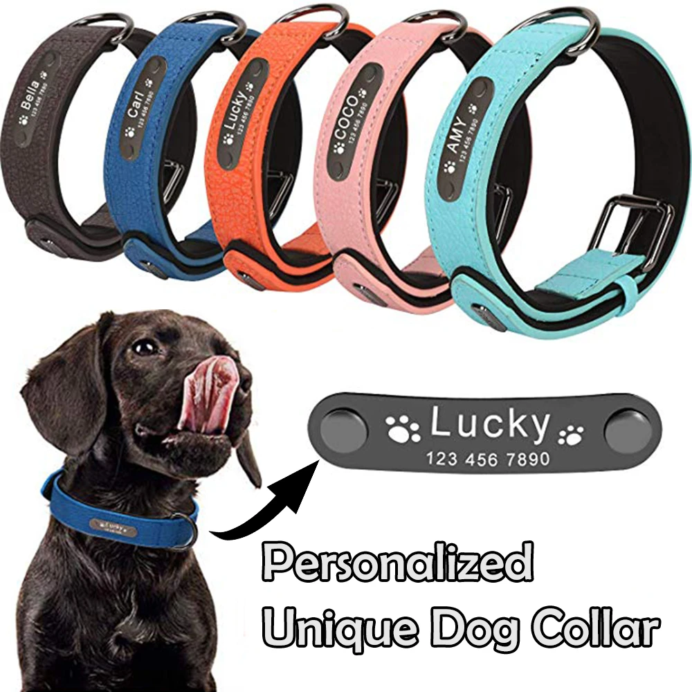designer dog leashes and collars