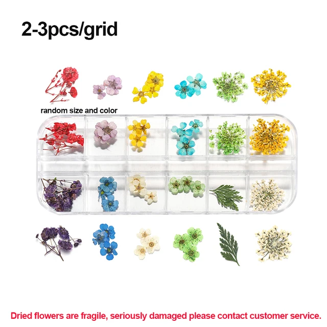 1Box Dried Flowers Dry Plants for Rsein Molds Fillings Epoxy Resin Pendant Tweezers Jewelry Making Craft DIY Nail Art Decoration Style 06
