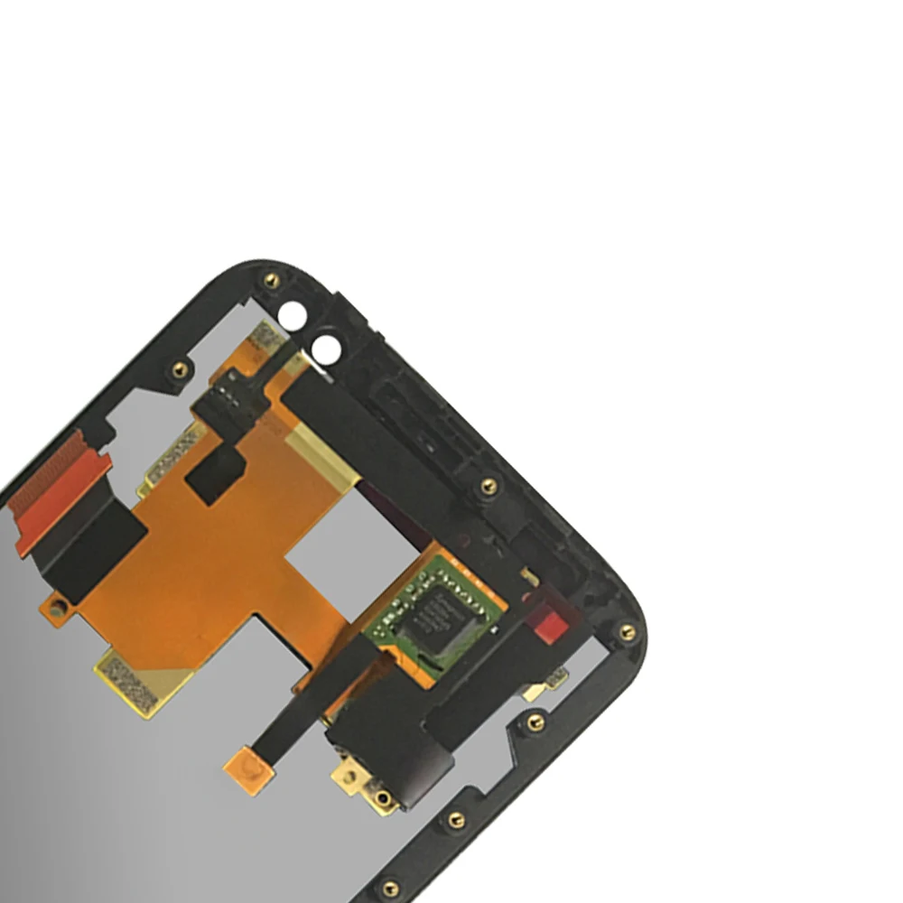 FUTU (3)