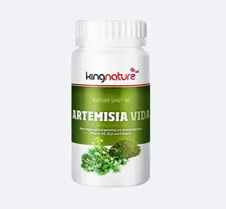 KingNature Swiss Imported Artemisia капсулы комплекс витамина B фолиевая кислота для пожилых детей для улучшения иммунитета 70 шт