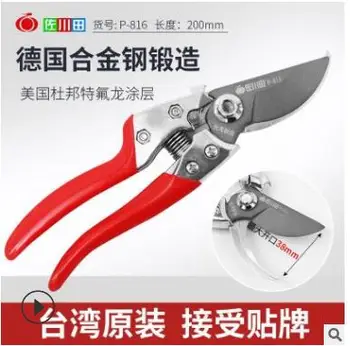 

aiwan.816 Fruit Tree Pruning Tool/Garden Scissors in Sakawa Field