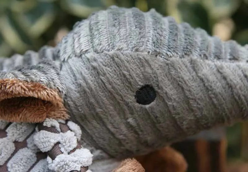 10183488937_21825055