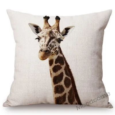 conew_t215 (2) 副本